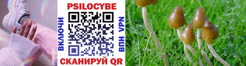 цены   Новоульяновск  Галлюциногенные грибы Cubensis 